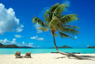 Der Sandstrand auf der Insel Bora Bora in Französisch-Polynesien erfüllt alle Südsee Klischees der Besucher - © wilar / Shutterstock