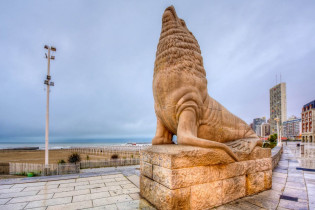 Die zahlreichen Seelöwen-Statuen in Mar del Plata sind der Eröffnung des Museums für zeitgenössische Kunst zu verdanken, Argentinien