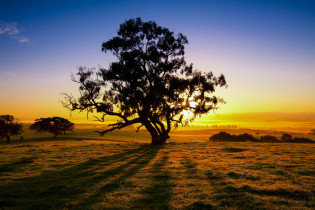 Sonnenuntergang im australischen Outback, hier im Clare Valley in South Australia, Australien