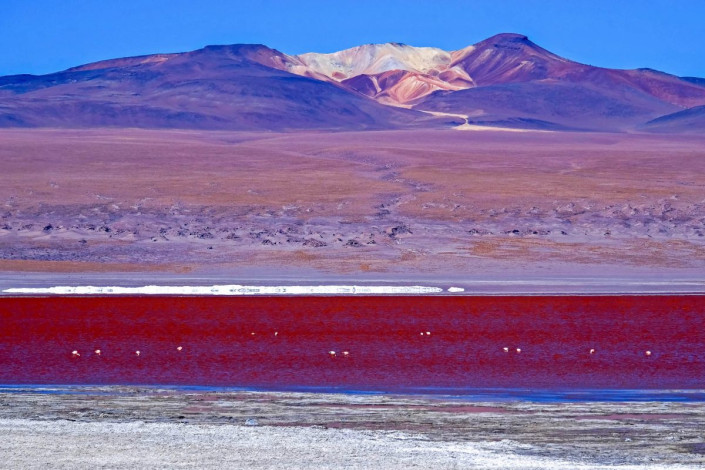 Algen und Sedimente färben das Wasser der Laguna Colorada im Südwesten von Bolivien blutrot
