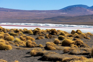 Die Umgebung der Laguna Colorada im Südwesten von Bolivien ist eine trostlose Wüste aus Salz und Fels