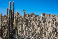 Die einzige Vegetation, die man im Valle de la Luna bei La Paz findet, sind trockene Büsche und stachelige Kakteen, Bolivien - © flog / franks-travelbox