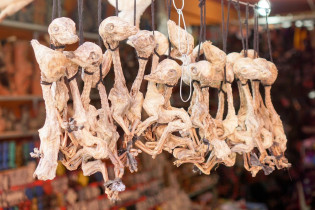 Sogar präparierte Lama-Föten gibt es am Hexenmarkt von La Paz zu kaufen, Bolivien
