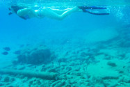 Vom „Bari Reef“ entlang der Küste Richtung Süden bis nach Kralendijk können zwischen den vertäuten Booten zahlreiche Meeresbewohner beobachtet werden, Bonaire - © Lila Pharao / franks-travelbox