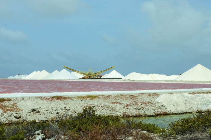 Vor der prächtigen Kulisse der Salzfelder von Pekelmeer sind hie und da Flamingos auszumachen, die im nahe gelegenen Flamingo Sanctuary nisten, Bonaire