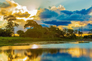 Das Pantanal steht zum Teil unter Naturschutz und ist ein atemberaubendes Paradies für Natur- und Tierfotografen, Brasilien - © Filipe Frazao / Shutterstock