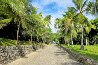 Ein gepflasterter und von Palmen gesäumter Weg führt vom Besucherzentrum zum Castelo Garcia d'Ávila, Brasilien