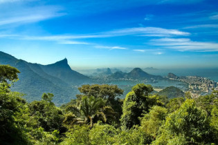 Der Tijuca Nationalpark erstreckt sich auf einer Fläche von knapp 40 Quadratkilometern über die Hügel rund um Rio de Janeiro, Brasilien