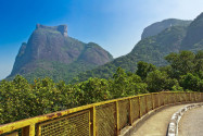 Die perfekt gepflegten Straßen im Tijuca Nationalpark von Rio de Janeiro führen zu Wasserfällen und sensationellen Aussichtspunkten, Brasilien - © Donatas Dabravolskas / Shutterstock