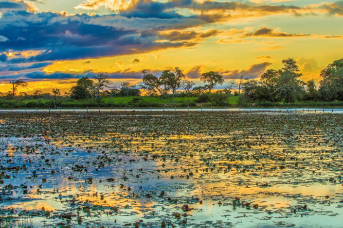 Seit 2000 gehört das Pantanal zum Weltnaturerbe der UNESCO, Brasilien