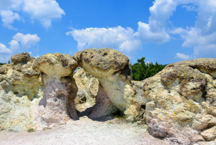 Durch die unterschiedliche Färbung von Stamm und Hut erinnern die steinernen Pilze bei Beli Plast noch stärker an echte Pilze, Bulgarien