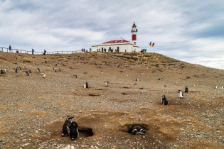Abgesehen von den Pinguinen gibt es auf Isla Magdalena bei Chile keine Sehenswürdigkeiten, lediglich einen rot-weiß-roten Leuchtturm