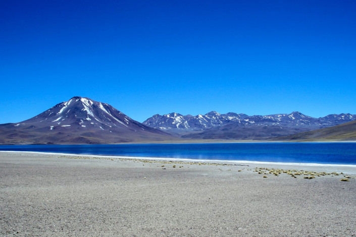 Blick auf die Laguna Miscanti mit dem typischen strahlend blauen Himmel, Chile