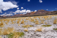 Der Lauca Nationalpark wird von der CONAF, der chilenischen Forstbehörde, verwaltet, die auch einige Schutzhütten betreibt, Chile - © ezk / franks-travelbox