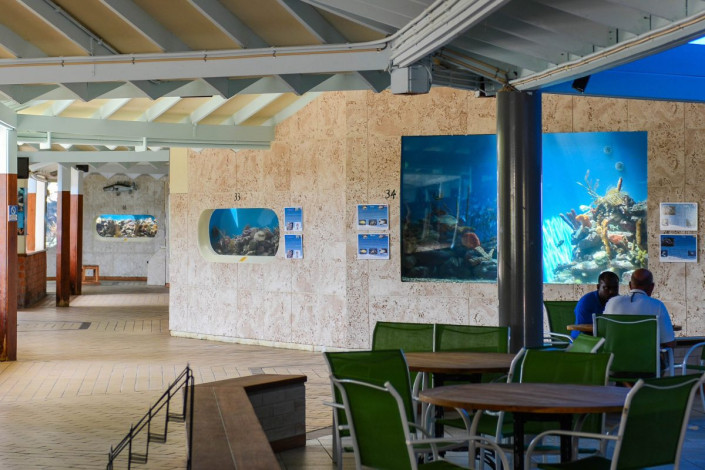 Gleich hinter dem Eingang öffnet sich der Komplex des Sea Aquariums in einen weitläufigen, sonnendurchfluteten Raum, in dessen Wände mehrere Aquarien eingelassen sind, Curaçao