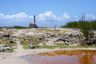 In der Mitte des karg bewachsenen Klein Curaçao thront ein Leuchtturm aus dem Jahr 1877