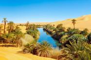Der See Umm al-Ma in der Sahara liegt im Oasengebiet Ubari im Südwesten von Lybien und bietet deutlich bessere Lebensbedingungen - © Patrick Poendl / Shutterstock