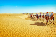 Die Bewohner der Sahara wissen, wie man in Karawanen die Große Wüste überquert ohne sich zu verirren und zu verdursten - © Adisa / Shutterstock