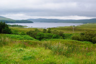 Die Landschaft der Highlands ist durch endlose, grasbewachsene Flächen scheinbar fernab jeglicher Zivilisation geprägt, Schottland, Großbritannien - © flog / franks-travelbox