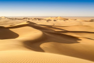 In der Mittagshitze kann sich ein Lebewesen nicht länger als ein paar Minuten unter der sengenden Sonne der Sahara aufhalten - © Denis Burdin / Shutterstock