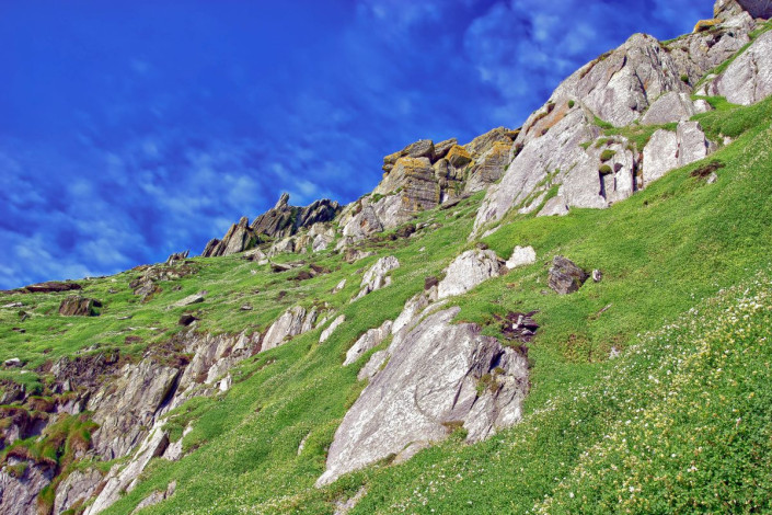 Die steilen Hänge von Skellig Michael sind mit spärlichem Gras und einigen Kräutern bewachsen, die noch aus der Mönchszeit stammen, Irland