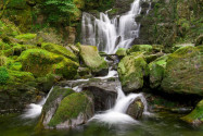 Vom Torc Wasserfall aus startet ein beliebter Wanderpfad auf die Spitze des Torc Mountain im Killarney Nationalpark, Irland  - © Patryk Kosmider / Shutterstock