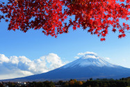 Der anmutige Fuji zählt im Shintoismus zu den drei heiligen Bergen Japans - © leungchopan / Shutterstock