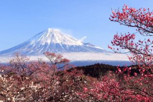 Der Berg Fuji im Frühjahr, Japan