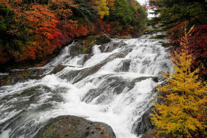 Die 60 Meter hohen und 10 Meter breiten Ryūzu-Fälle, wörtlich „Drachenkopf-Wasserfall im Nikko Nationalpark, Japan