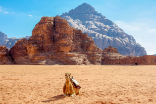 Die Erkundung des Wadi Rum erfolgt am besten mit dem Geländewagen, kann aber auch auf dem Rücken eines Kamels erfolgen, Jordanien