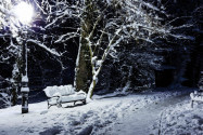 Einsame Stille in einer winterlichen Nacht im Maksimir Park von Zagreb, Kroatien - © Dario Vuksanovic / Shutterstock