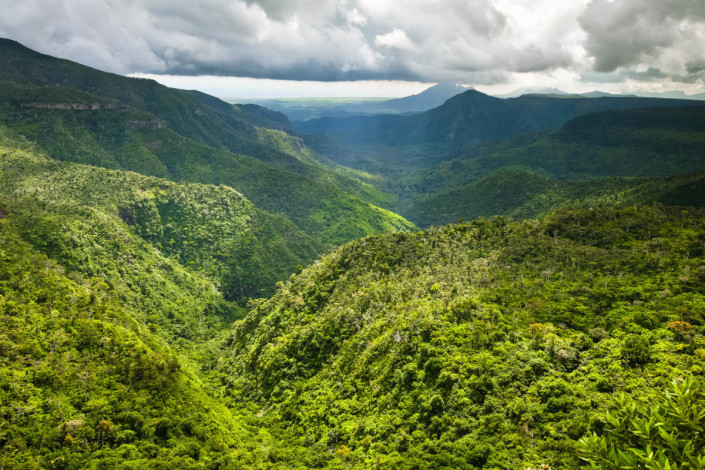 Panorama im Black River Gorges Nationalpark im Südwesten von Mauritius, der fantastische Wanderwege und einen der seltensten Regenwälder der Welt bietet