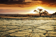 Das unwirtliche Klima gepaart mit der enormen Trockenheit und enormen Temperaturschwankungen macht Leben in der Wüste Gobi fast unmöglich, Mongolei - © Galyna Andrushko / Shutterstock
