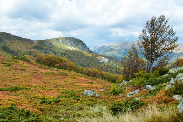 Herbstlicher Blick ins Tal von 2.000m Seehöhe, Biogradska Gora Nationalpark, Montenegro
