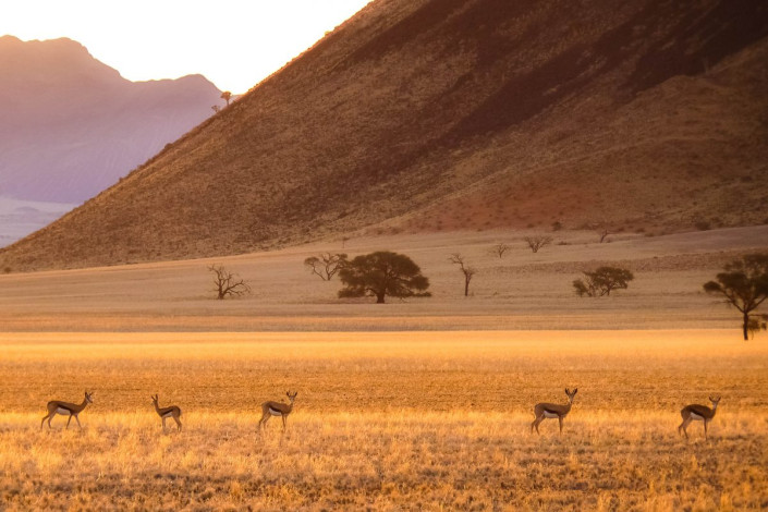 Abendstimmung im Namib-Naukluft-Nationalpark liegt im Südwesten Namibias in der Nähe von Sesrim, Namibia