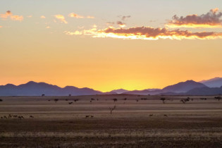 Abendstimmung in der Savanne des Namib-Naukluft-Nationalparks, Namibia