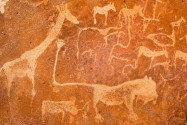 Eine der bekanntesten Felszeichnungen in Twyfelfontein, die „Löwenplatte“, auf der ein Löwe mit mächtigen Pranken und abgeknicktem Schwanz zu sehen ist, Namibia - © FRASHO / franks-travelbox