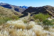 Szenerie in den Naukluft-Bergen im Osten des Namib-Naukluft-Nationalparks - hier findet man schroffe Felsen und spektakuläre Canyons, Namibia - © FRASHO / franks-travelbox