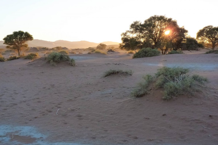 Wer früh aufsteht kann nach 65 km Fahrt den Sonnenaufgang in Sossusvlei fast allein genießen, Namibia