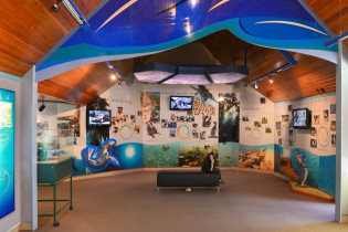 Das Albatros-Zentrum auf der Otago Halbinsel informiert über den Brutzyklus und die Lebensgewohnheiten der Albatrosse von Neuseeland