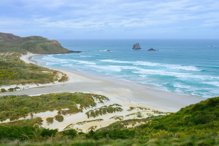 Die Otago Halbinsel vereint äußerst attraktive Kombination aus Sandbuchten, üppiger Vegetation und einer völlig intakten Tierwelt, Neuseeland