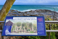 Eine Aussichtsplattform rund 5min vom Parkplatz entfernt gibt den besten Überblick über die versteinerten Bäume in der Curio Bay, Neuseeland - © FRASHO / franks-travelbox