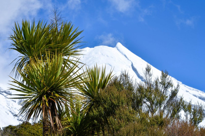Im Jahr 1881 wurde ein exakter Umkreis von sechs Meilen (knapp 10km) um den Mount Taranaki zum Waldschutzgebiet erklärt, Neuseeland