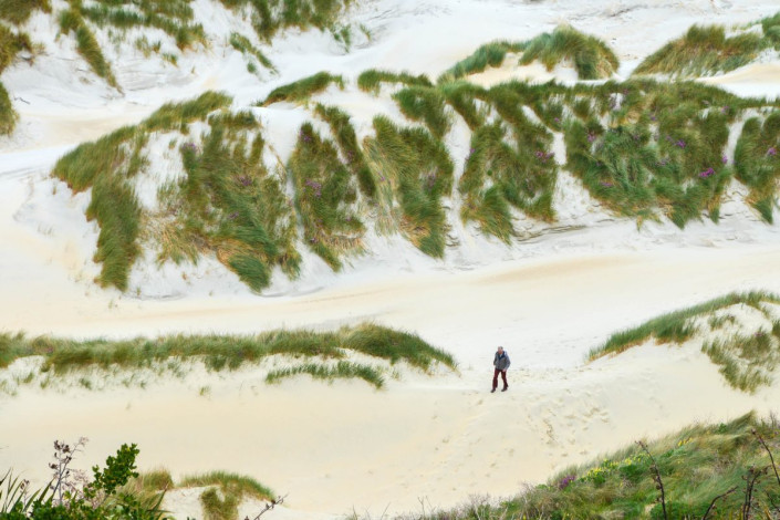 In der Sandfly Bay auf der Otago Halbinsel von Neuseeland hat der Wind im Lauf der Zeit haushohe Sanddünen geschaffen