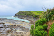 Neben ihrem landschaftlichen Reiz ist die Curio Bay im Süden von Neuseeland vor allem für ihren versteinerten Wald und ihre Gelbaugenpinguin-Kolonie bekannt - © FRASHO / franks-travelbox