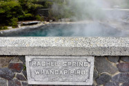 Die Nähe zu den geothermalen Besonderheiten der Nordinsel Neuseelands macht sich in Rotorua durch einen ständigen Geruch nach Schwefel bemerkbar - © FRASHO / franks-travelbox