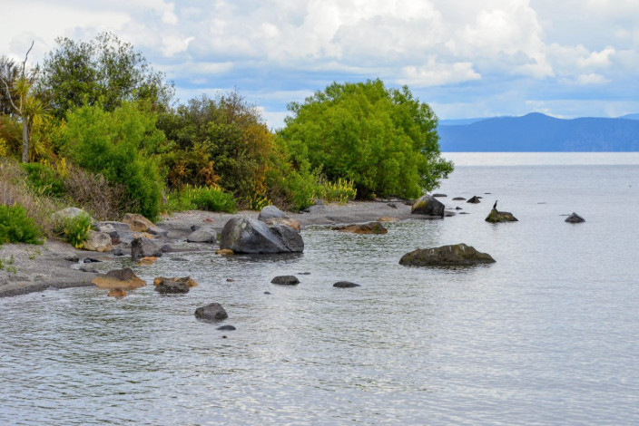 Als größter See Neuseelands verwandelt sich der Lake Taupo im Sommer in eine beliebte Destination für Bade-Urlauber