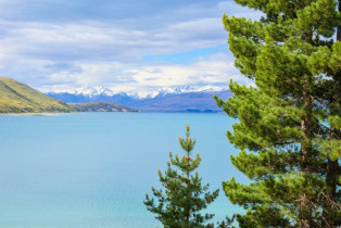 Der Lake Tekapo im Zentrum der Südinsel zählt aufgrund seiner malerischen Lage am Fuß der Neuseeländischen Alpen zu den schönsten Seen Neuseelands