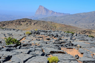 Auf dem Weg zum Wadi Nakhar wird der Reisende schon von der atemberaubenden Kulisse des Jebel Misht begrüßt, Oman