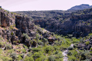 Blick in das Wadi bani Habib in der Gebirgsregion Jebel Akhdar im Norden des Oman - © FRASHO / franks-travelbox